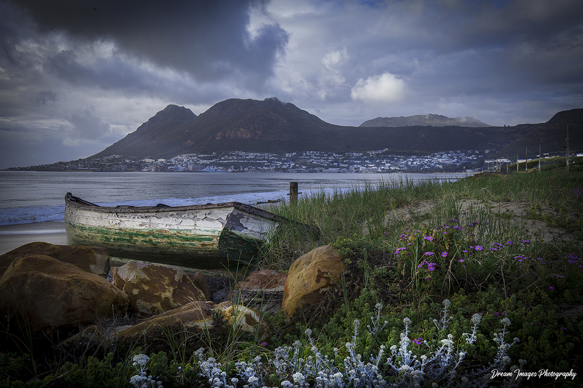 Landscape 8